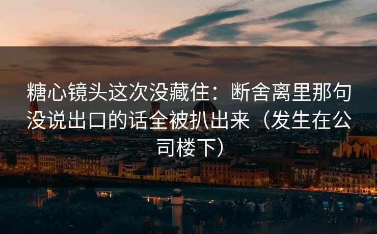 糖心镜头这次没藏住：断舍离里那句没说出口的话全被扒出来（发生在公司楼下）