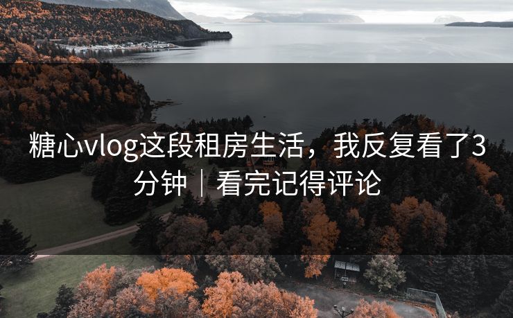 糖心vlog这段租房生活，我反复看了3分钟｜看完记得评论