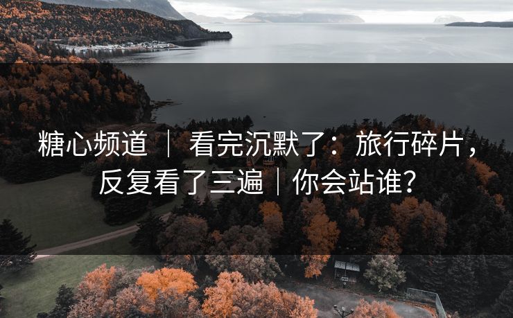糖心频道 ｜ 看完沉默了：旅行碎片，反复看了三遍｜你会站谁？