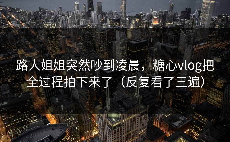 路人姐姐突然吵到凌晨，糖心vlog把全过程拍下来了（反复看了三遍）