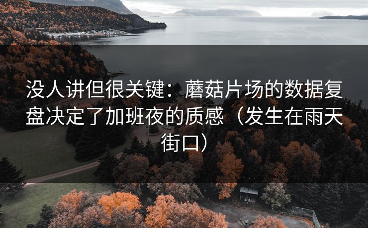 没人讲但很关键：蘑菇片场的数据复盘决定了加班夜的质感（发生在雨天街口）