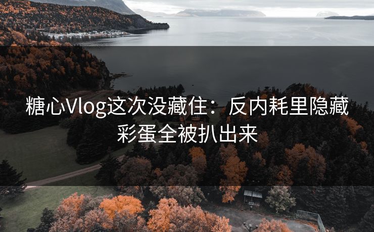 糖心Vlog这次没藏住：反内耗里隐藏彩蛋全被扒出来