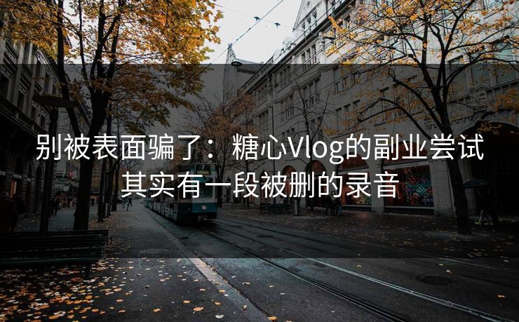 别被表面骗了：糖心Vlog的副业尝试其实有一段被删的录音