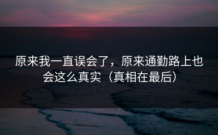 原来我一直误会了，原来通勤路上也会这么真实（真相在最后）