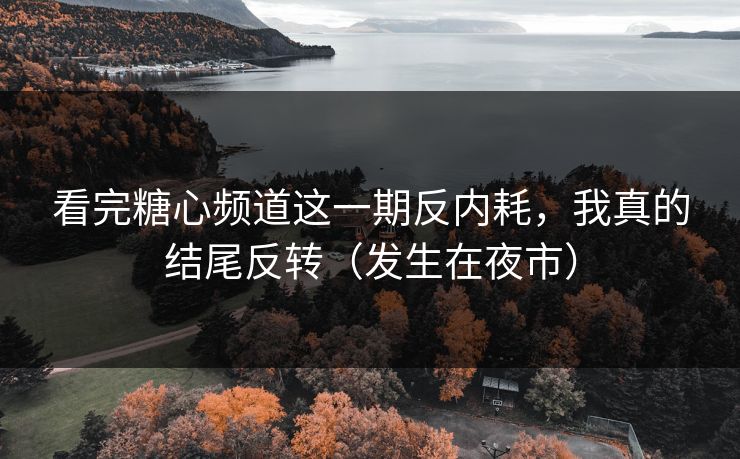 看完糖心频道这一期反内耗，我真的结尾反转（发生在夜市）