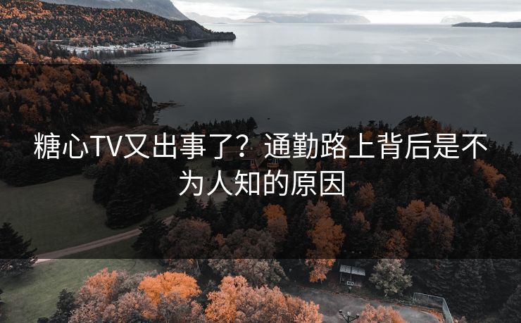 糖心TV又出事了？通勤路上背后是不为人知的原因