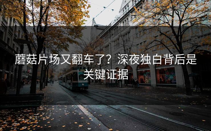 蘑菇片场又翻车了？深夜独白背后是关键证据