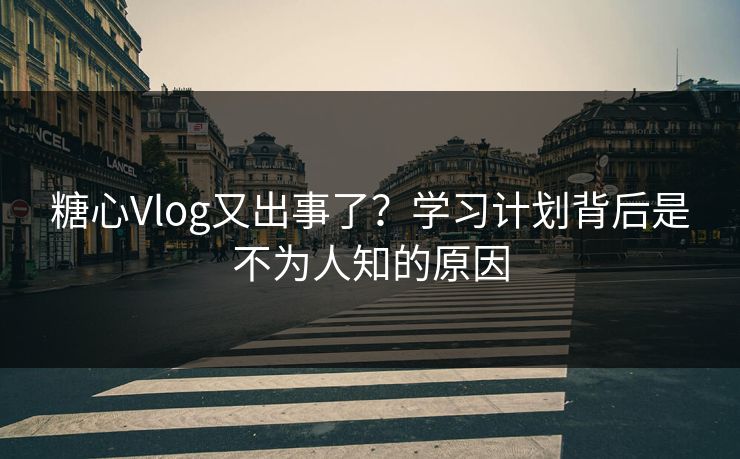 糖心Vlog又出事了？学习计划背后是不为人知的原因