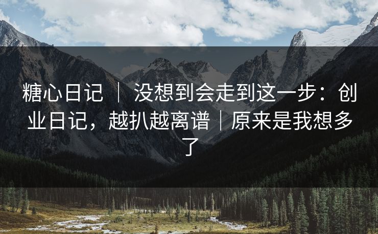 糖心日记 ｜ 没想到会走到这一步：创业日记，越扒越离谱｜原来是我想多了